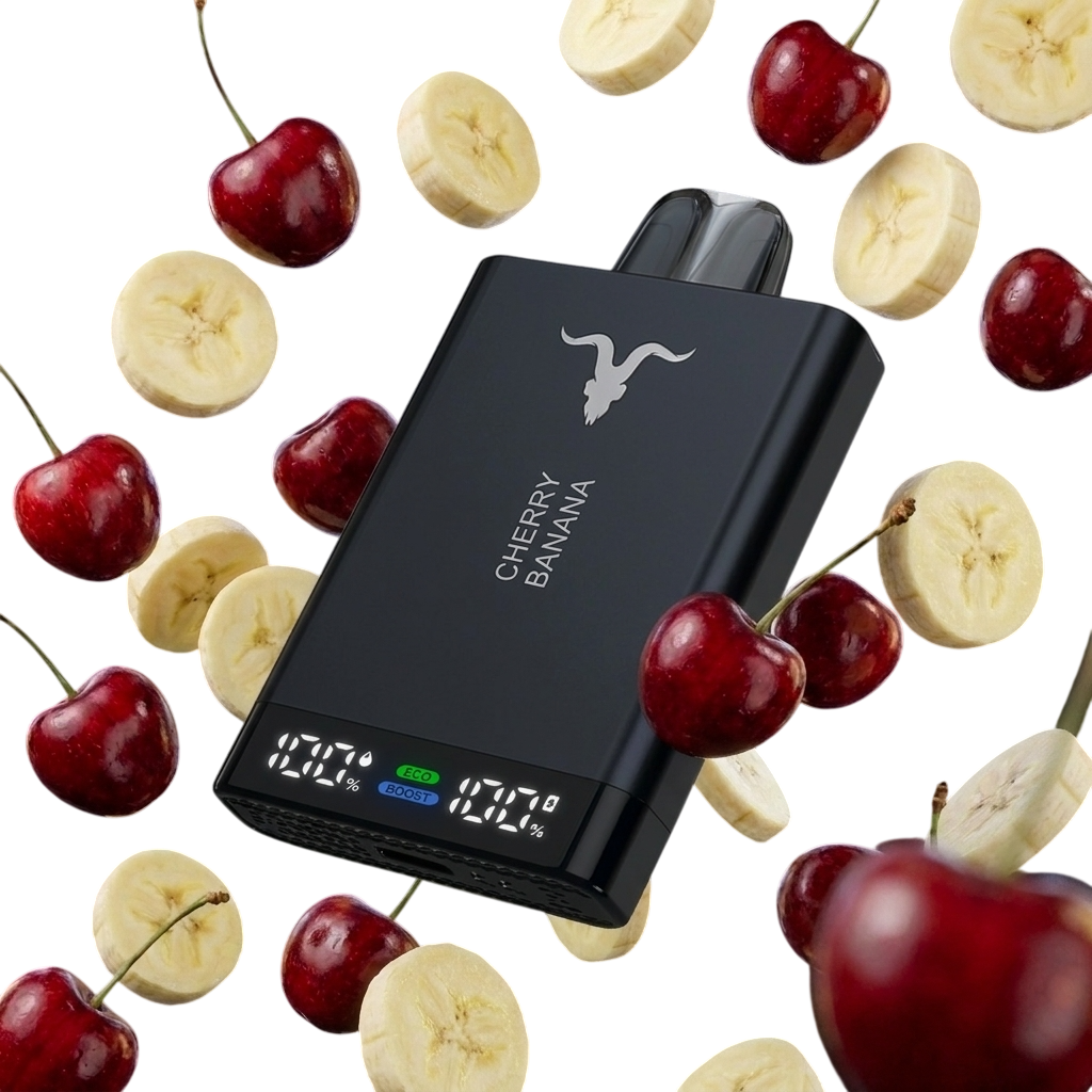 Ignite V150
